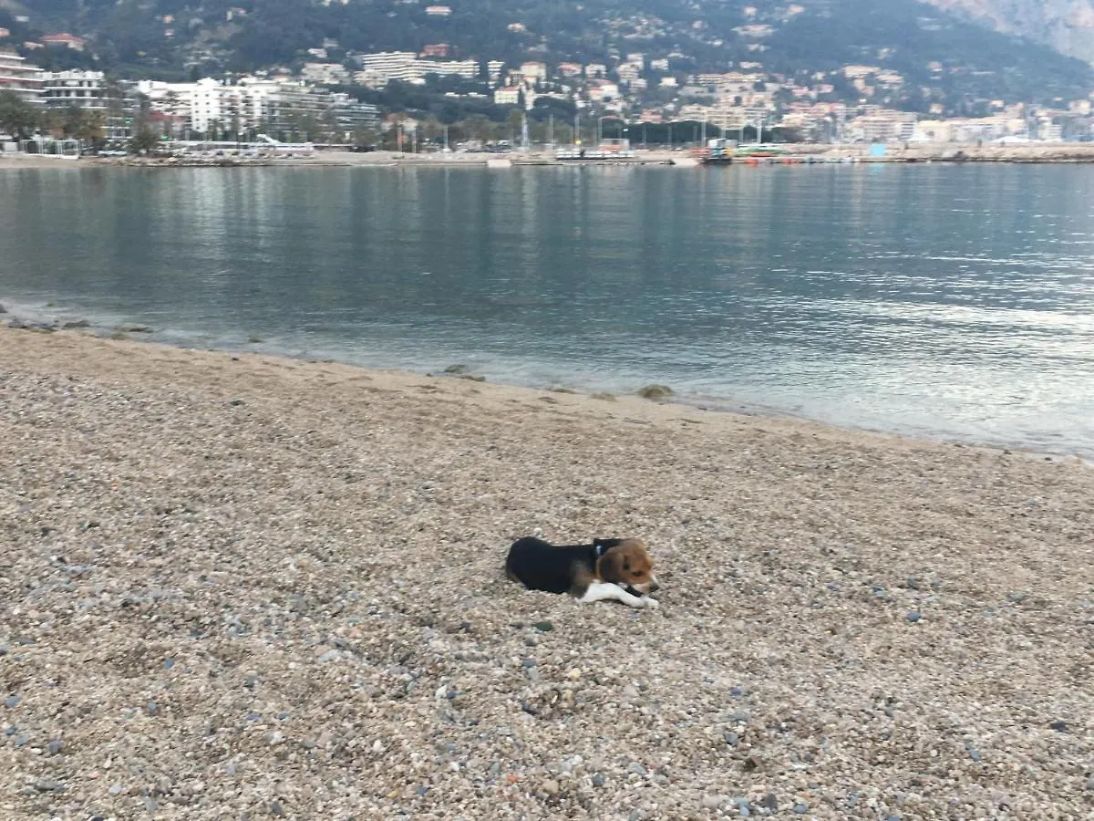 Appartement Maroelvi Menton 0*,  Francie